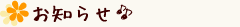 m点
